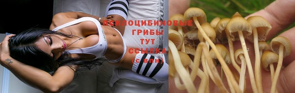 стаф Белоозёрский