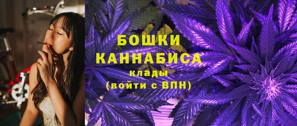 крисы Белокуриха
