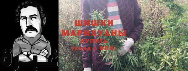 стаф Белоозёрский