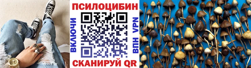 Галлюциногенные грибы Magic Shrooms магазин наркотиков Долинск